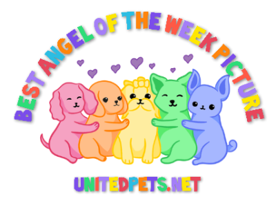 a best aotw picture award